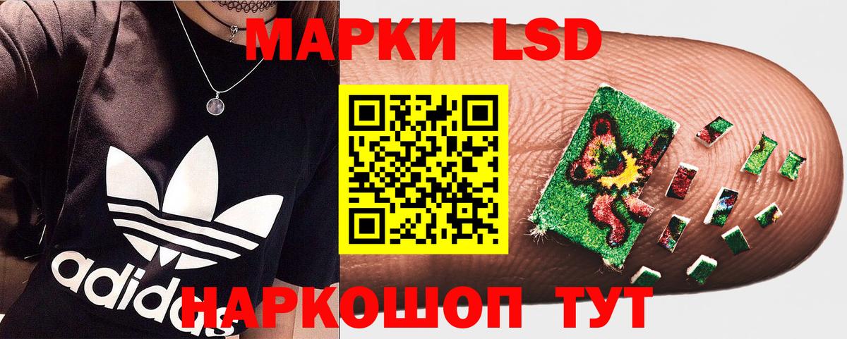 Лсд 25 Лениногорск